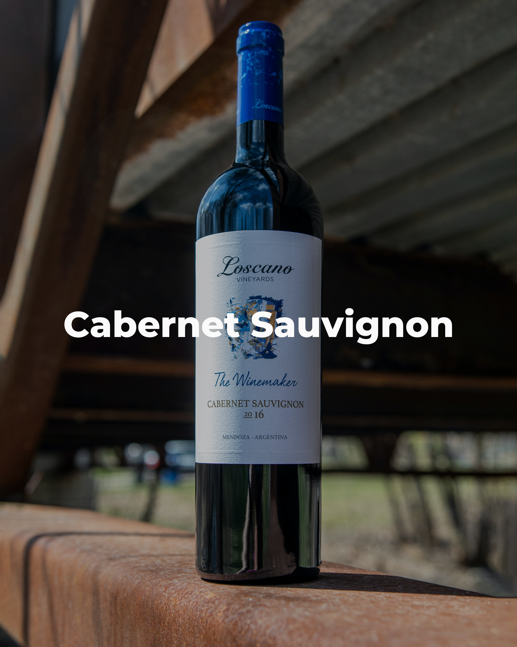 Cabernet Sauvignon